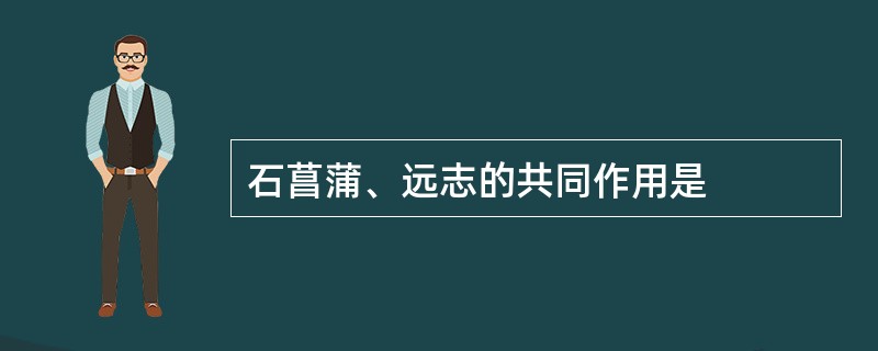 石菖蒲、远志的共同作用是