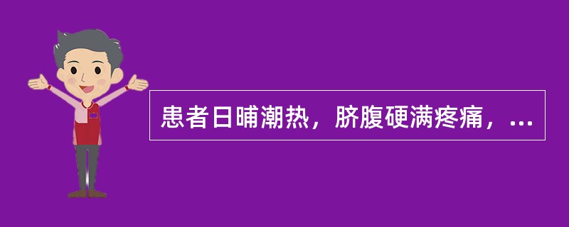 患者日晡潮热，脐腹硬满疼痛，大便秘结，舌红，苔黄厚而燥，脉沉实有力，宜诊为