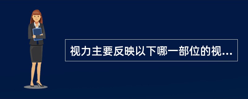 视力主要反映以下哪一部位的视功能