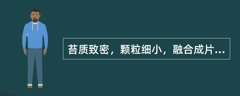 苔质致密，颗粒细小，融合成片，属