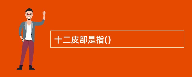 十二皮部是指()