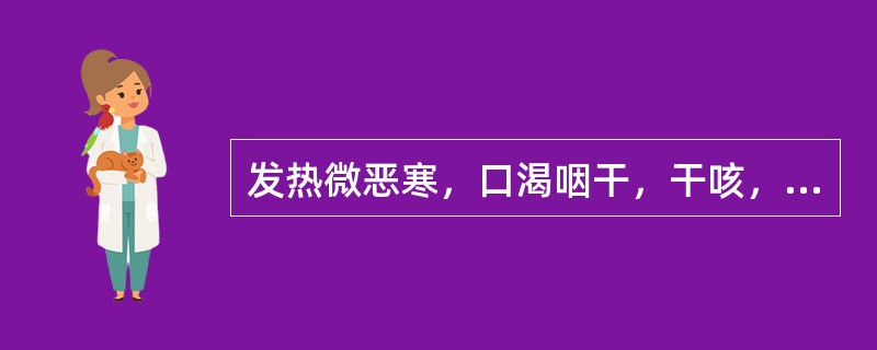 发热微恶寒，口渴咽干，干咳，舌干苔黄，脉浮数。证属