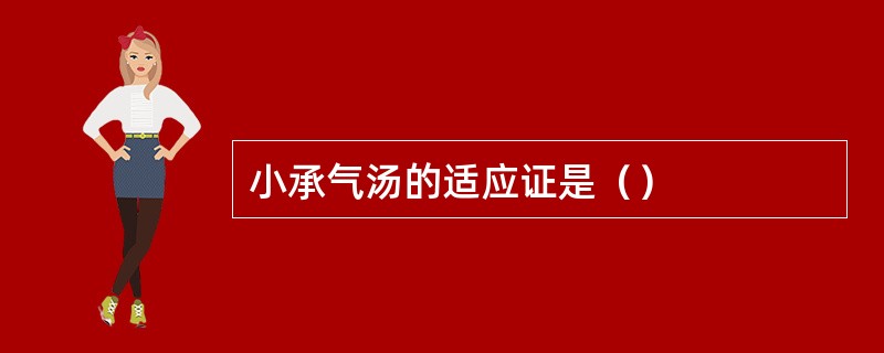 小承气汤的适应证是（）