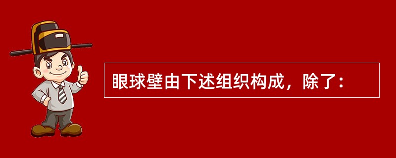 眼球壁由下述组织构成，除了：