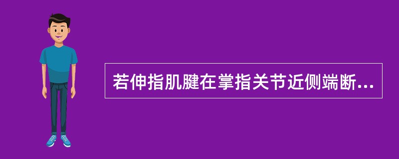 若伸指肌腱在掌指关节近侧端断裂时，掌指关节不能伸直而指间关节因什么牵拉仍可伸直（）