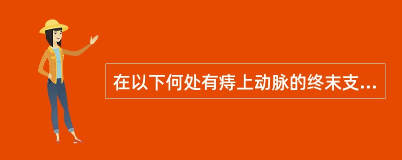 在以下何处有痔上动脉的终末支及伴随的静脉丛（）