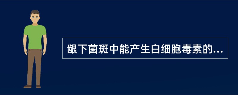 龈下菌斑中能产生白细胞毒素的细菌是（）