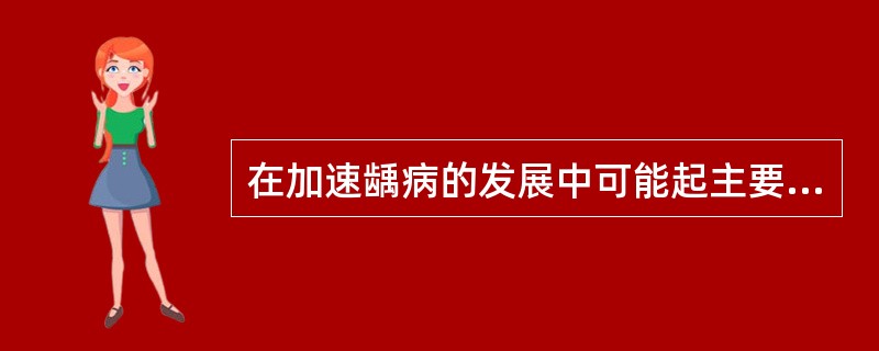 在加速龋病的发展中可能起主要作用的菌属是（）