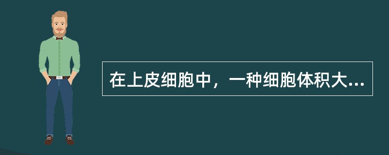 在上皮细胞中，一种细胞体积大，多边形，胞浆伸出许多小的突起--细胞间桥，突起之间为桥粒连接，这种细胞是（）