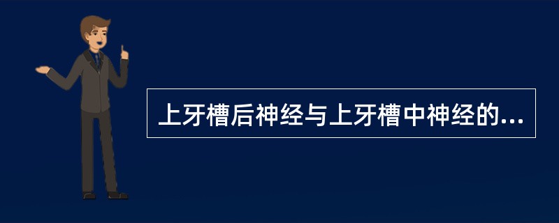 上牙槽后神经与上牙槽中神经的交叉部位于（）