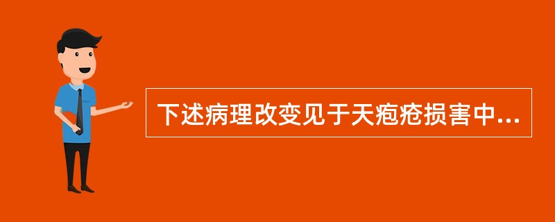 下述病理改变见于天疱疮损害中的是（）