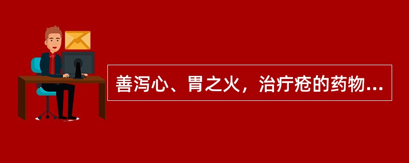 善泻心、胃之火，治疔疮的药物是（）