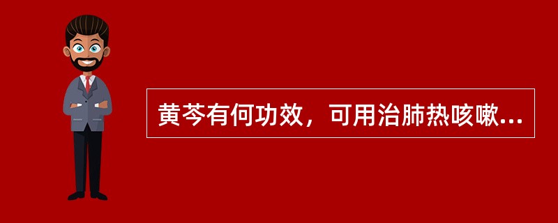 黄芩有何功效，可用治肺热咳嗽之痰黄稠兼大肠湿热泄泻（）