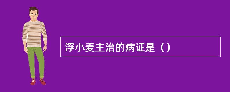 浮小麦主治的病证是（）