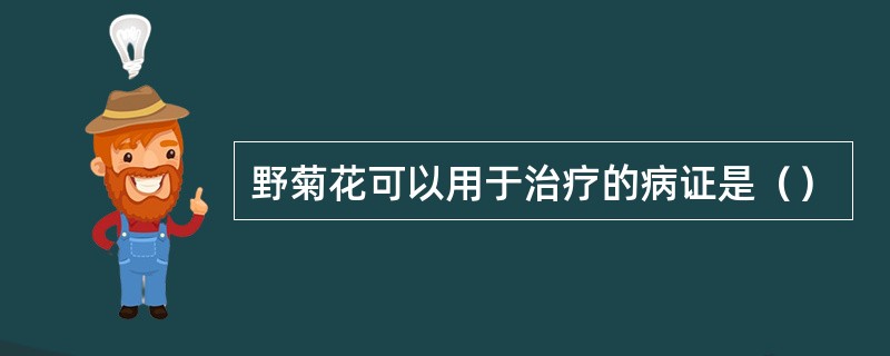 野菊花可以用于治疗的病证是（）