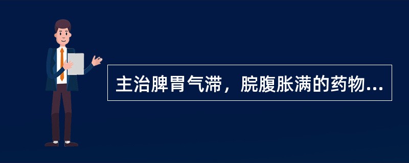 主治脾胃气滞，脘腹胀满的药物是（）