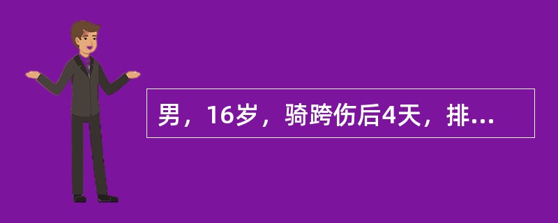 男，16岁，骑跨伤后4天，排尿困难，尿道口流血。查体：体温38.4℃，阴囊明显肿大，发绀。其处理方法是（）