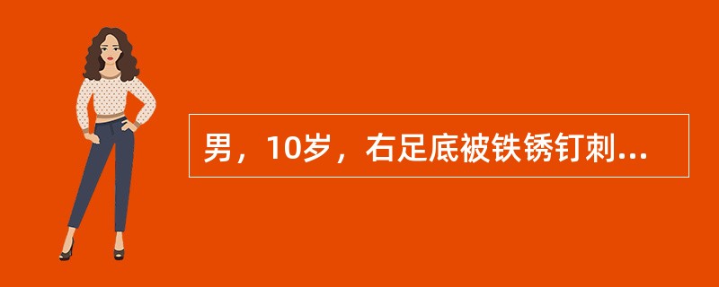 男，10岁，右足底被铁锈钉刺伤10天，突然出现张口困难，继之出现苦笑面容，角弓反张，声响及触碰病人可诱发上述症状，病人神志清楚，不发热。该病致病菌属于（）