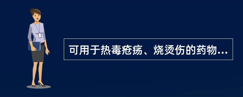 可用于热毒疮疡、烧烫伤的药物是（）