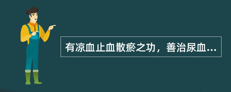 有凉血止血散瘀之功，善治尿血的药物是（）