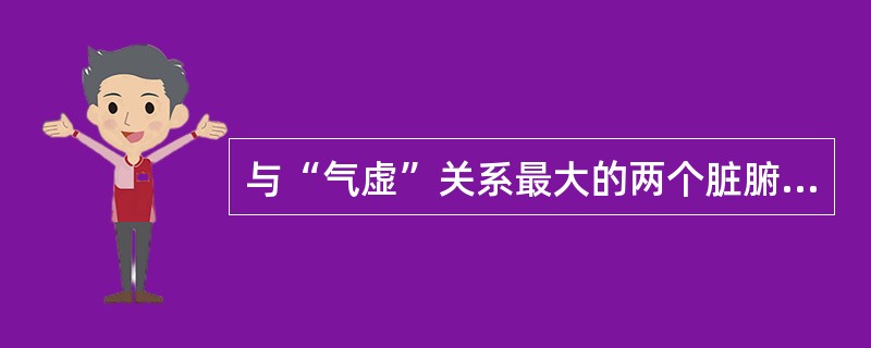 与“气虚”关系最大的两个脏腑是（）