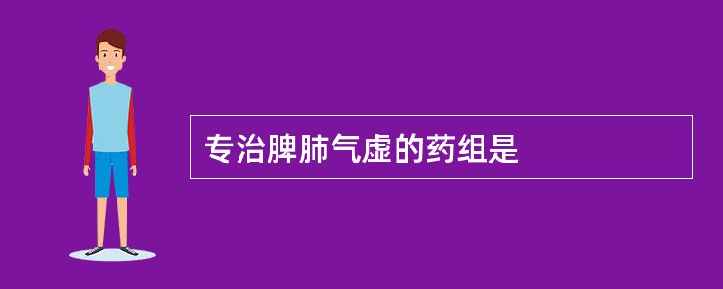 专治脾肺气虚的药组是