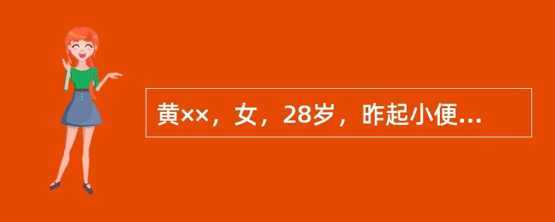 黄××，女，28岁，昨起小便频急，涩痛而赤，腰酸，少腹胀痛，心烦，少寐，舌质红，苔黄，脉滑数。此病人诊断为（）