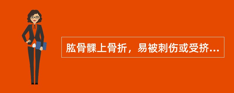 肱骨髁上骨折，易被刺伤或受挤压的血管神经（）