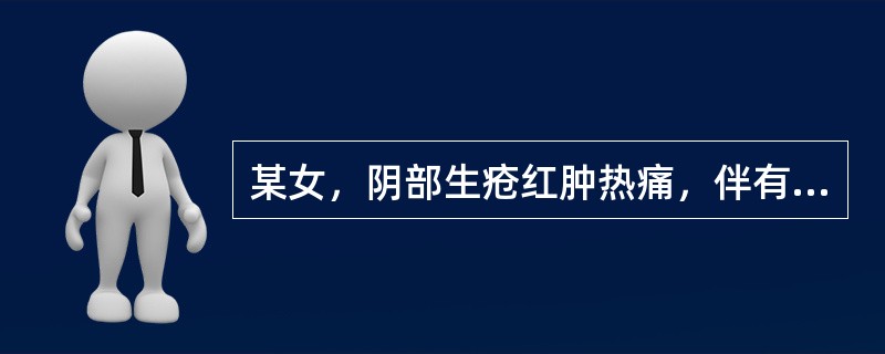 某女，阴部生疮红肿热痛，伴有口苦咽干，大便干结，舌质红，苔薄黄，脉滑数。治法为（）