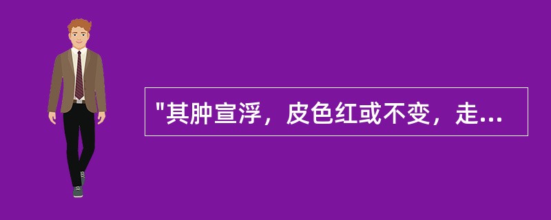 "其肿宣浮，皮色红或不变，走注甚速"，是哪种邪气致病特点：