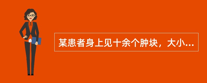 某患者身上见十余个肿块，大小不一，质地柔软，表面光滑，有囊性感，可压入皮下，放手随即弹起。内治方药为：