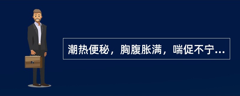 潮热便秘，胸腹胀满，喘促不宁，痰涎壅盛，脉右寸实大，苔黄腻。其病机为（）