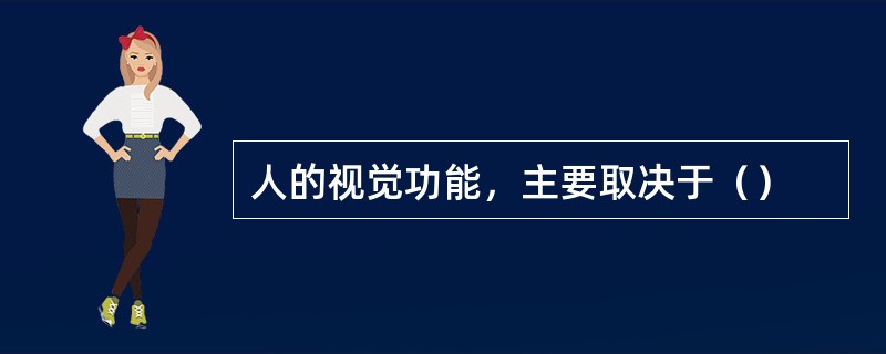 人的视觉功能，主要取决于（）