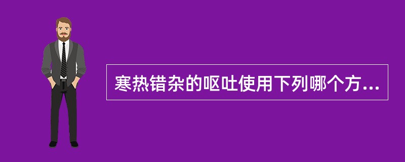 寒热错杂的呕吐使用下列哪个方剂进行治疗（）