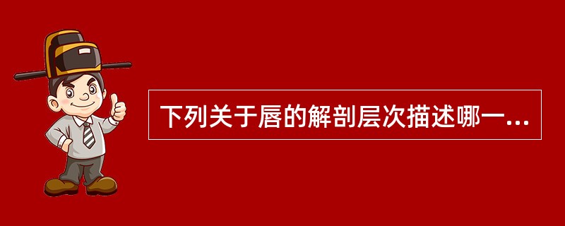 下列关于唇的解剖层次描述哪一项是错误的（）