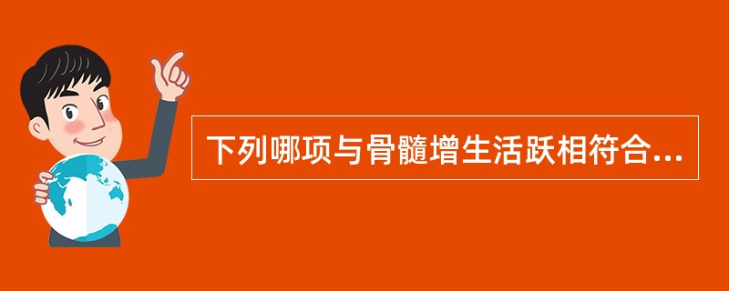 下列哪项与骨髓增生活跃相符合（）