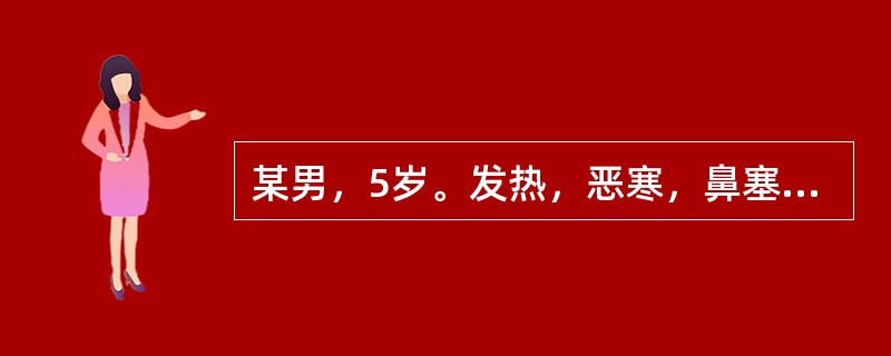 某男，5岁。发热，恶寒，鼻塞，咳嗽，苔薄白，脉浮。若属风寒束肺证，诊断意义最小的症状是（）