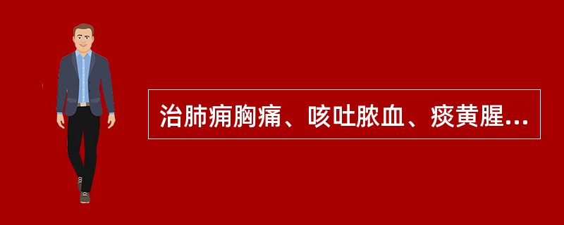 治肺痈胸痛、咳吐脓血、痰黄腥臭之证，应选用（）