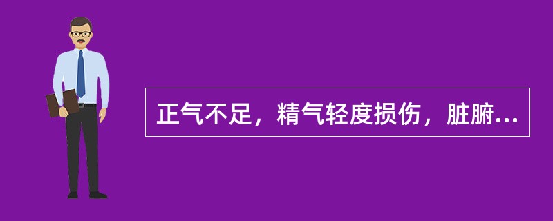 正气不足，精气轻度损伤，脏腑功能减弱者，属（）