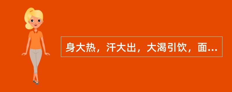 身大热，汗大出，大渴引饮，面赤气粗苔黄燥，脉洪大者，属（）