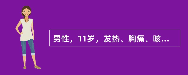 男性，11岁，发热、胸痛、咳嗽约2周，近5天有呼吸困难。体温39℃，脉搏120次／分，呼吸30次／分，胸片见第7后肋高度有液平面，胸穿抽出稀薄脓液，治疗方法主要是（）