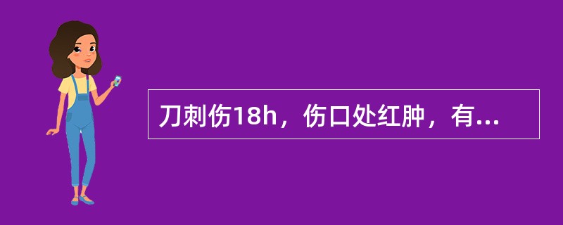 刀刺伤18h，伤口处红肿，有渗出液，最恰当的治疗措施是：（）