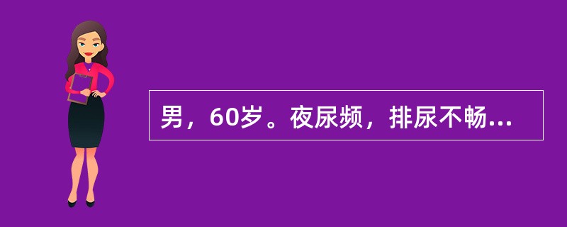 男，60岁。夜尿频，排尿不畅1年。直肠指诊前列腺Ⅱ度，质彻光滑，中间沟消失。欲测定残余尿量，最简单并易为病人接受的方法是：（）