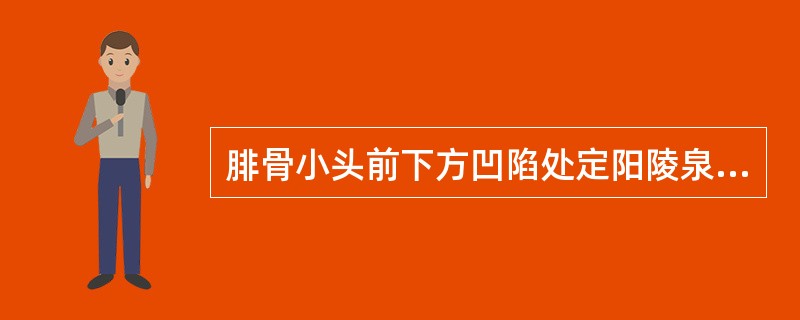 腓骨小头前下方凹陷处定阳陵泉的位置，属于：