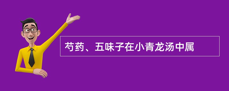 芍药、五味子在小青龙汤中属