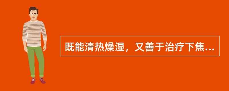 既能清热燥湿，又善于治疗下焦湿热诸证和阴虚发热的药物是