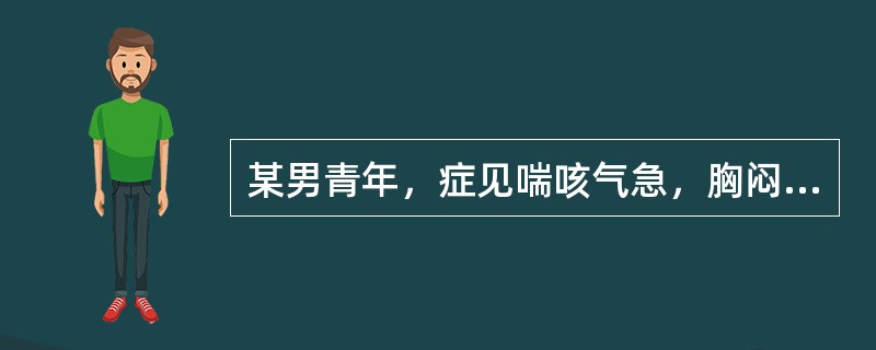 某男青年，症见喘咳气急，胸闷，痰稀薄色白，兼恶寒头痛，苔薄白而滑，脉浮紧。若患者得汗而喘不平，可加用：（）