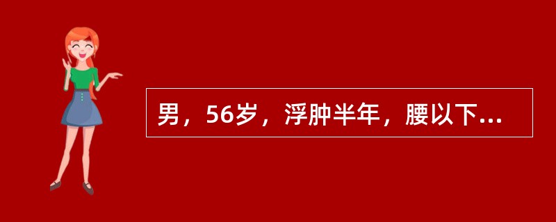 男，56岁，浮肿半年，腰以下尤甚，按之没指，小便短少，畏冷肢凉，腰膝酸软，舌淡胖，苔白滑，脉沉迟无力，属（）