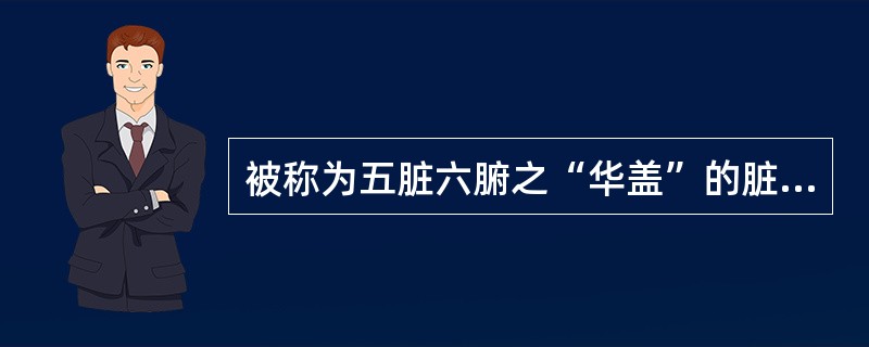 被称为五脏六腑之“华盖”的脏是（）