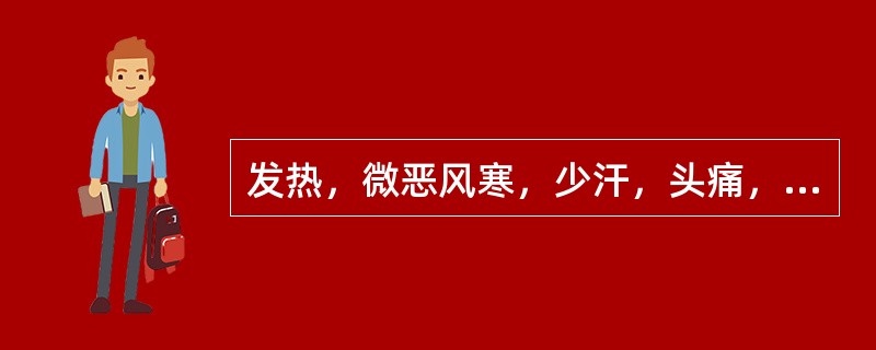 发热，微恶风寒，少汗，头痛，口微渴，舌边尖红，苔薄黄，脉浮数，证属（）